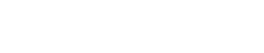 logo light